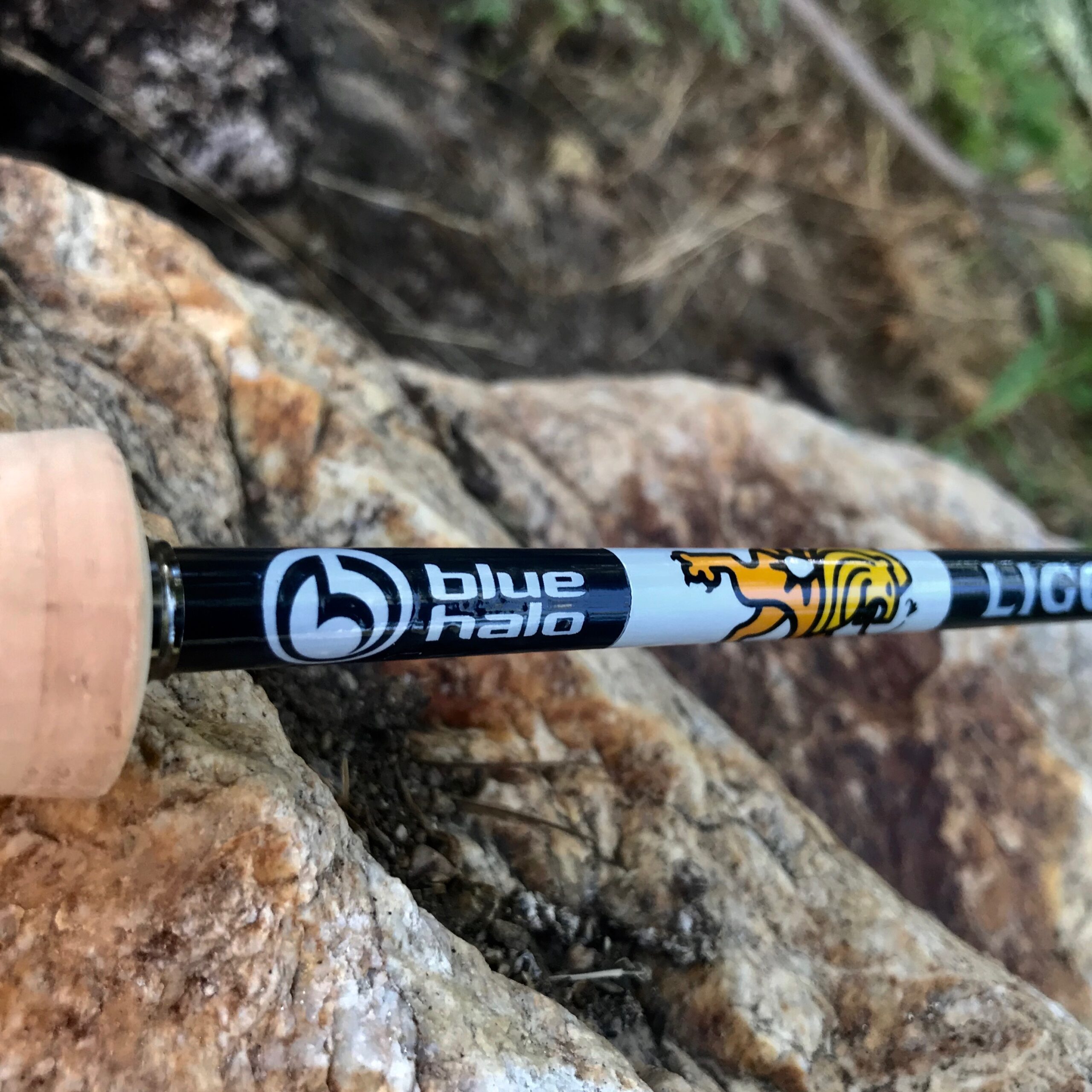 Custom Built Fly Rods featuring Sage, EPIC, Blue Halo and more