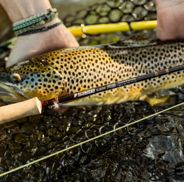 Sage R8 Classic Fly Rods